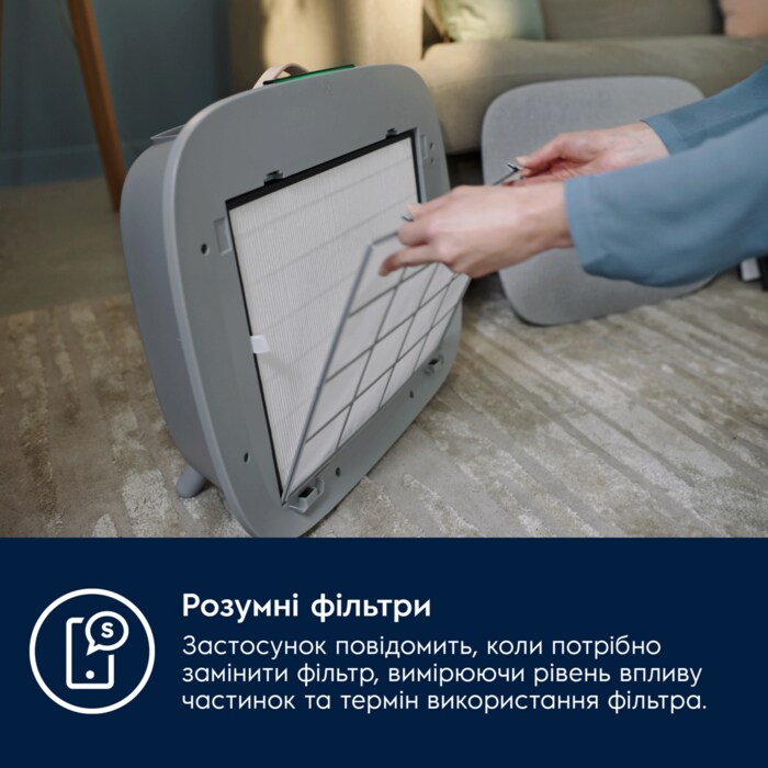 Electrolux - Air Purifier - EFWBTH3